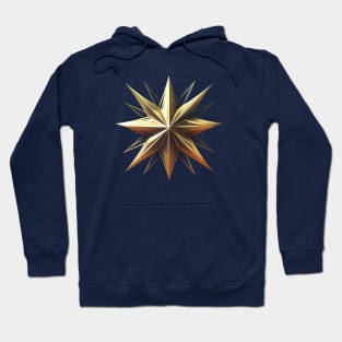 Meshed Star Hoodie